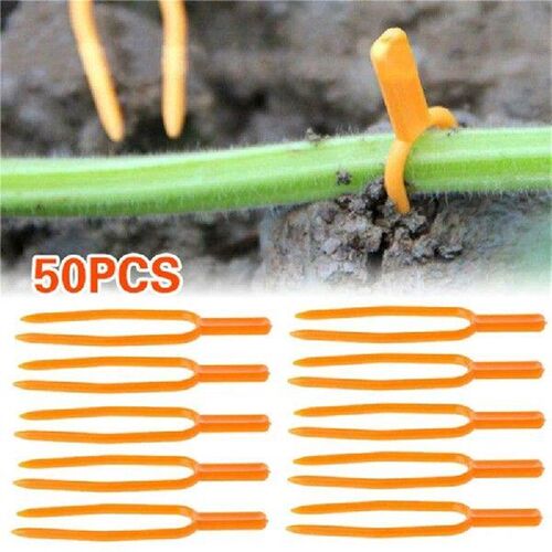 50PCS Strawberry Planting Fork Green Stolon Fixator