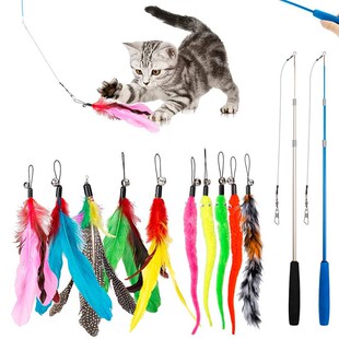Retractable Toy Feather Interactive Toys Indoor Wand Cat