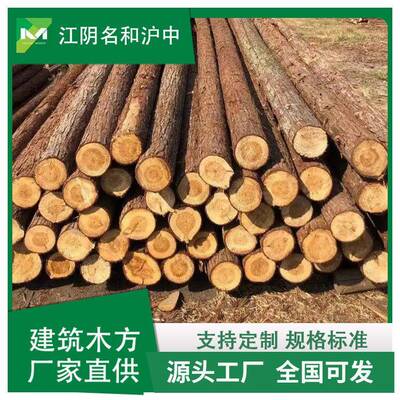 中沪多种规格打木原2木口径8-11822桩cm长度-8米库存充足