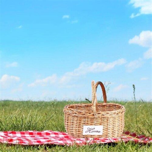 Picnic Basket Portable Storage Vegetable Holder Decorate
