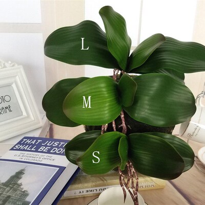 S M L Artificial Butterfly Orchid Leaf Phalaenopsis Real Tou