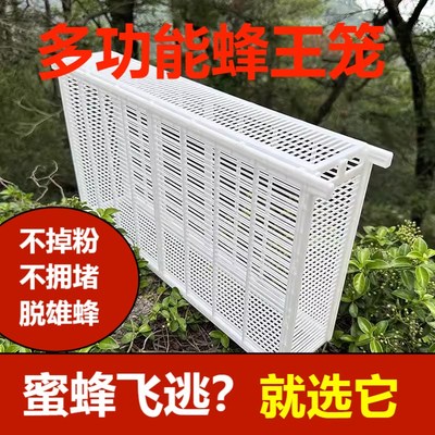 中蜂防逃框多功能蜜蜂箱塑料中意蜂通用囚王笼蜂养蜂专用隔栅工具