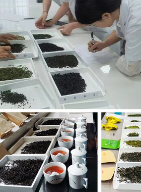 茗标评茶盘茶叶审评茶具SC认证白色木质评审盘摇盘斜口展示茶样盘