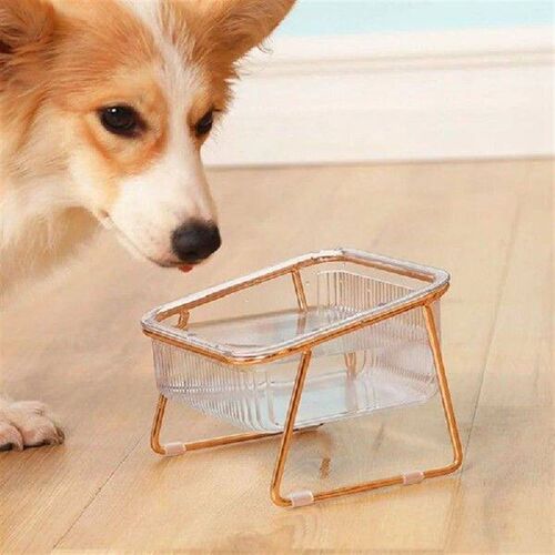 HOT-Cat Bowl Transparent High-Footed Cat Bowl Oblique Mouth