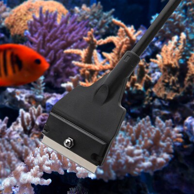 Stainless Steel Aquarium Fish Tank Algae Scraper Blade Aquat