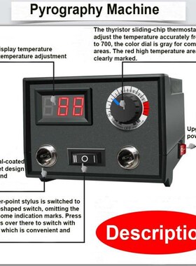 110V/220V LH40-S2 Adjustable Temperature Wood Burner Pyrogra