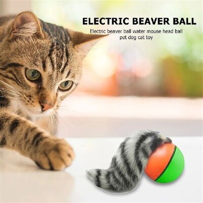 Electric Beaver Weasel Rolling Ball Pet Dog Cat Interactive
