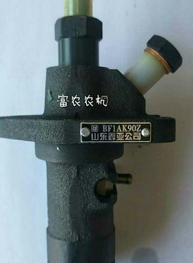 常柴常州江淮柴油机配件ZS1100 11051110 1115 11柴油泵柱塞