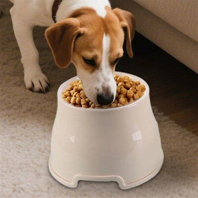 Dog Food Bowls Elevated Cat Water Bowl Scratch-Resistant