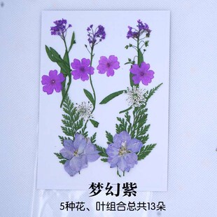 Dried Flower Baffle Material Bag Face Embossed Photo Leaf P