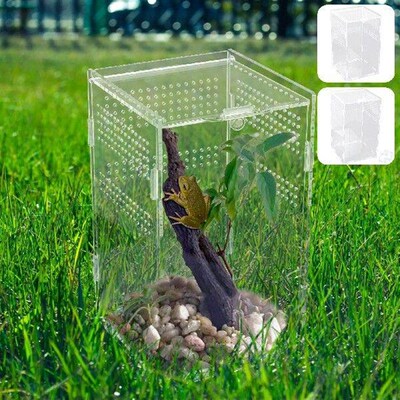 Terrarium Enclosure Acranged Transparent Climbing Pet