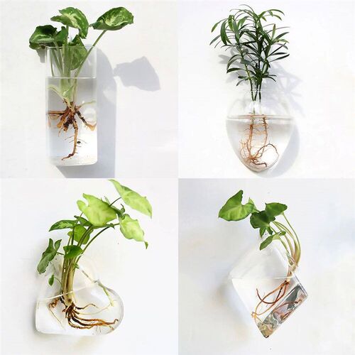 Fashion Wall Hanging Glass Flower Vase Terrarium Wall Fish T