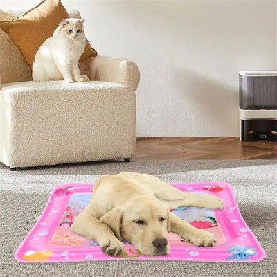 Kids Water Play Mat Thickened Inflatable Water Mat For Cat