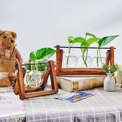Wooden frame hydroponic vase green rose plant glass flower w