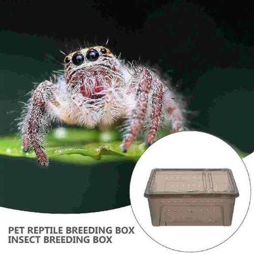 Animal Reptile Feeding Box Container Pet Supply Climbing