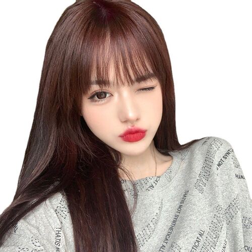 TwoClip Hair Extension Piece Womens Long Invisible OnePiece