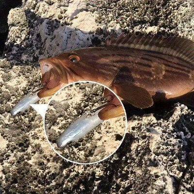 Fishing Lures For Freshwater 5X Swim Baits For Bass Fishing