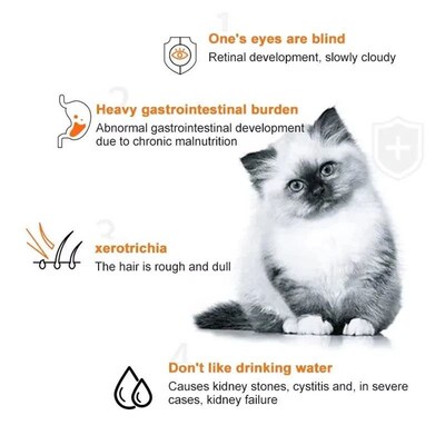 10pcs 15g/Stripe Cat Strips Pet Snacks Various Flavors Nutri