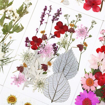 Dried Flower Embossed Combination Package Real Flower Emboss