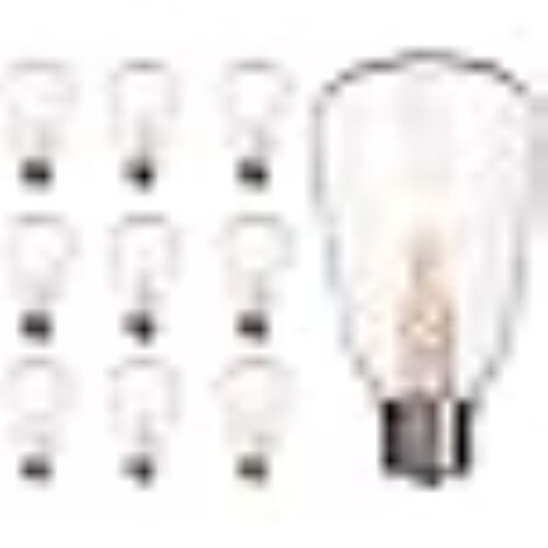 Pallerina 10-Pack Edison Replacement Bulbs ST40 Light Bul