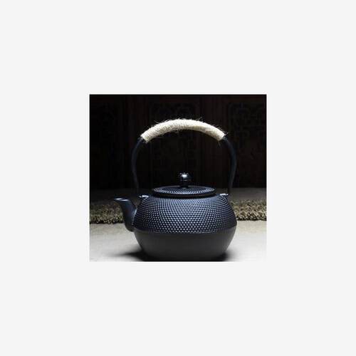 Iron Tea Pot with Stainless Steel Infuser Cast Iron Teapot