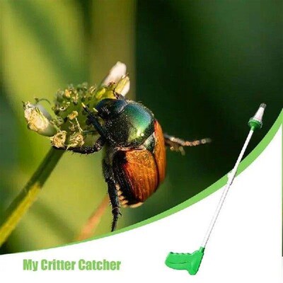 Spider Catcher Long Handle Long Handle Spider Traps Indoor