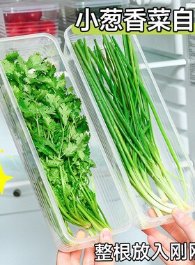 2 Foodgrade Sealed Plastic Boxes for Long Noodles Square Fre
