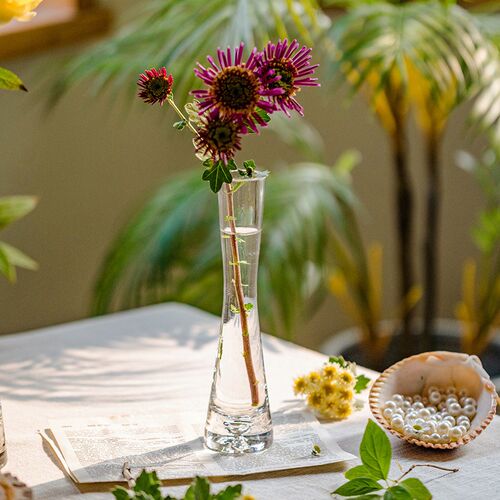 Transparent Glass Flower Vase Small Vase Hydroponics Plant F