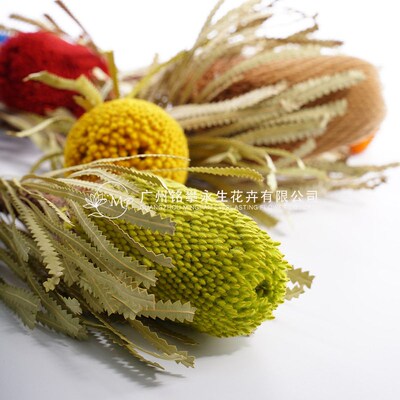 [south African Bankwood] Diy Dried Flower Pagoda Bakers Bouq