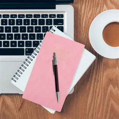 2025 Schedule Monthly Planner 2024-2025 Calendar Daily Diary