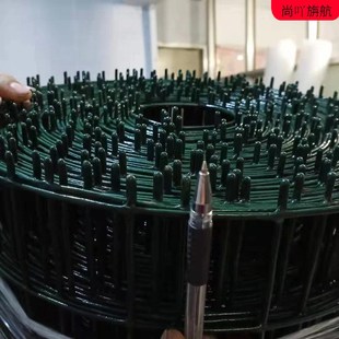 铁丝网围栏养殖网硬塑荷兰网栅栏钢丝网护栏网格防护网养鸡围栏网