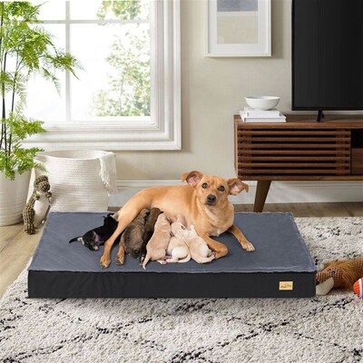 Dog Beds for Large Dogs, Orthopedic Dog Bed for Medium Large