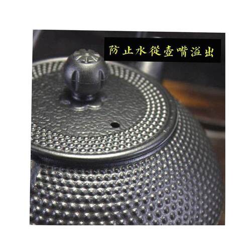 Iron Tea Pot with Stainless Steel Infuser Cast Iron Teapot