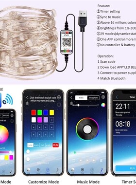 USB LED String Light Bluetooth App Control String Lamp 灯串