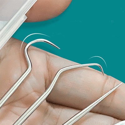 1 Set Toothpick Set Metal Stainless Steel Oral Cleaning Toot