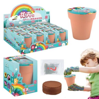 Kids Flower Growing Kit Kindergarten  Observation Potted