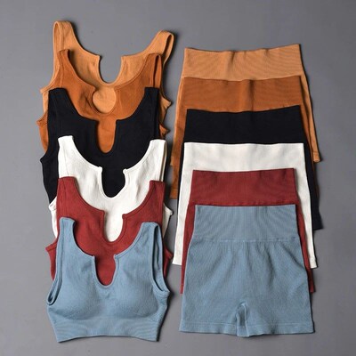 Seamless Sport Suit Yoga Suit Fitness Gym Clothes Women Gym