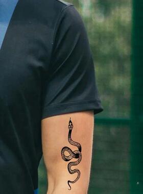 10pcs Temporary Tattoos for Women Men, Snake, Butterfly, Moo