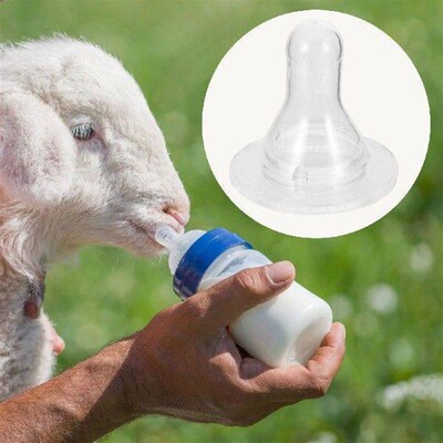10 Pcs Pet Pacifier Baby Bottle Silicone Sheep Nipple