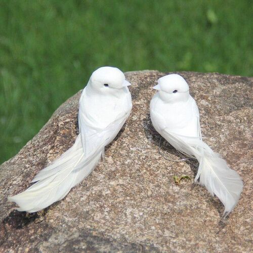 Artfcal Whte Pgeon Plastc Feather Love Peace Doves Br