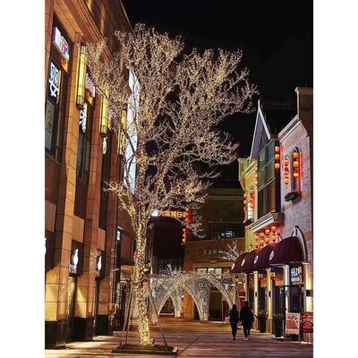 led warm white led string lights fairy string christmas ligh