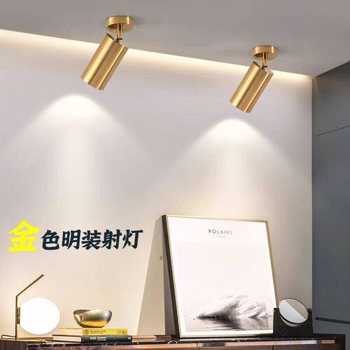 Ming-mounted Gu10 Spotlight Adjustable Angle Shaking Head Ho