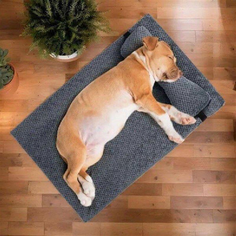 Dog Bed For Medium Dogs Sofa Bed Mat Orthopedic With - 实物图