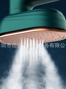 Handheld Steamer Fast-Heat Steam Iron Ironing Machine 电熨斗