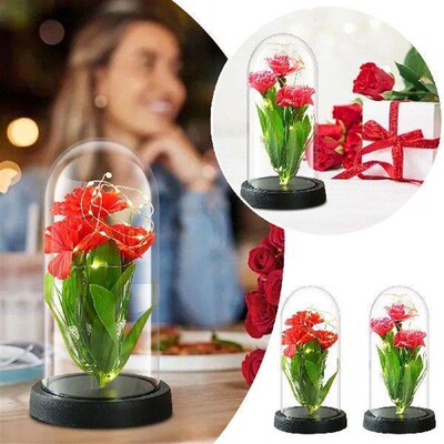 Simulation Carnation Mothers Day Led Light Led Lamp