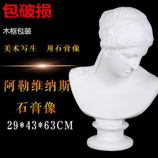 勃兰特阿勒维纳斯石膏头像石膏像全身石膏像维纳斯头像维纳斯雕塑