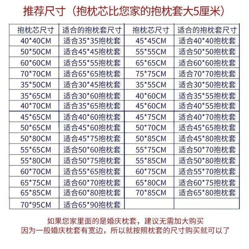 Throw Pillows Sofa Couch Cushion Decorative Pillow insert枕