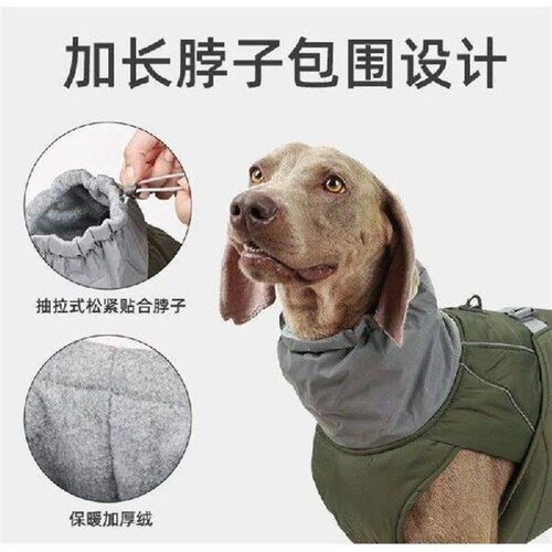 Dog Clothes Autumn and Winter Thickened Small Medium Large