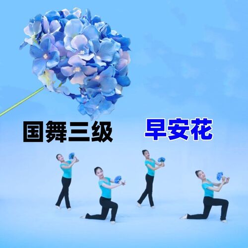 中国舞艺术舞蹈考级国舞三级早安花园舞蹈道具花束嘴叼手拿牡丹花
