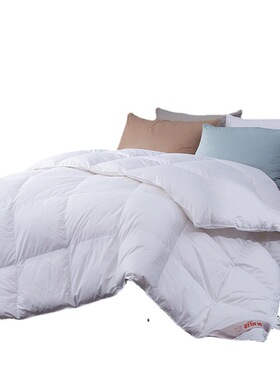 Down Duvet with Cotton Fabric Warm Quilt Comforter Blanket